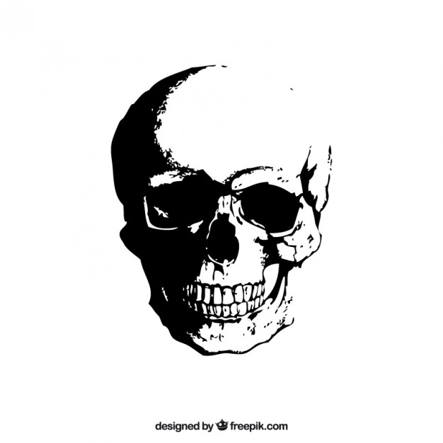 626x626 Skull Vectors, Photos And Free Download