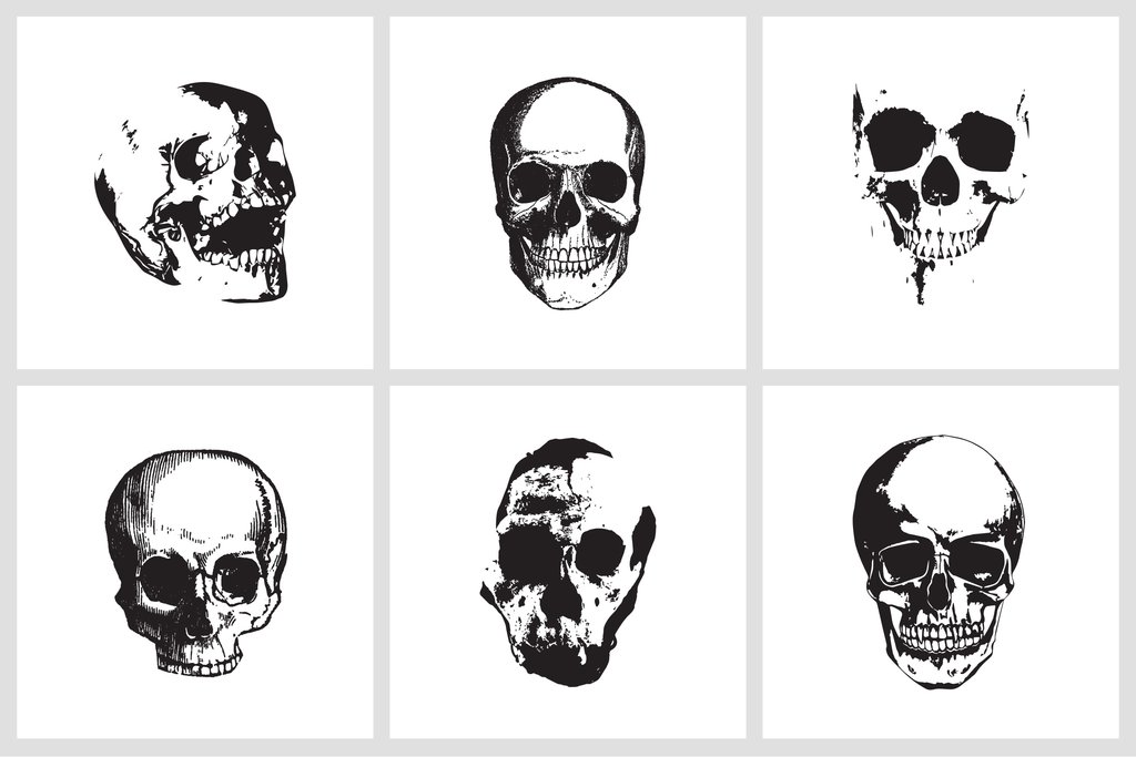 1024x683 Vintage Skull Vector Illustrations
