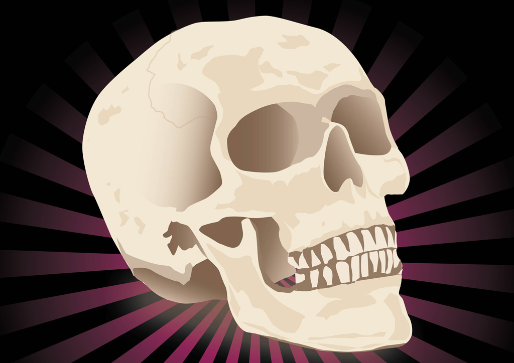 1024x724 Free Realistic Skull Vector Vector Art Graphics