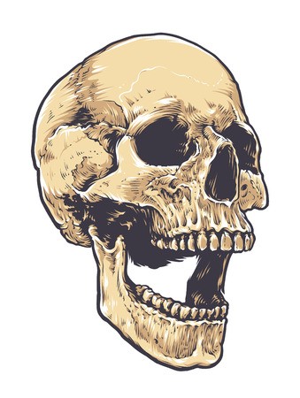 339x450 Anatomic Grunge Skull Vector Art Detailed Hand Drawn Illustration