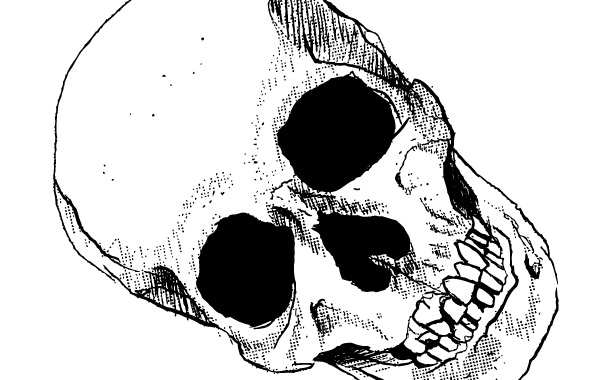 600x380 Free Vectors Skull Vector Art Krtulina