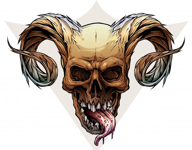 626x489 Skull Vectors, Photos And Free Download