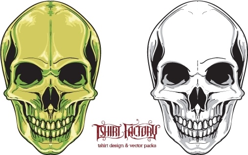 507x317 Free Skull Vector Free Vector In Adobe Illustrator