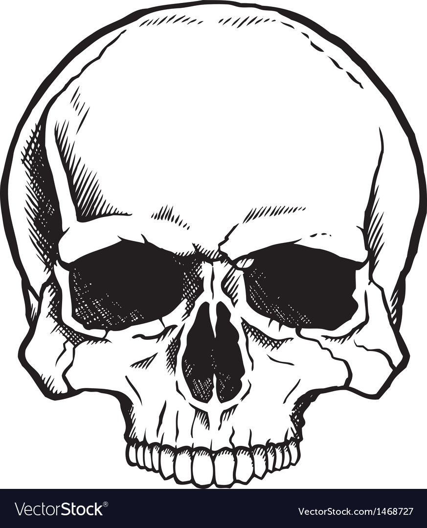 873x1080 Skull Vector Free