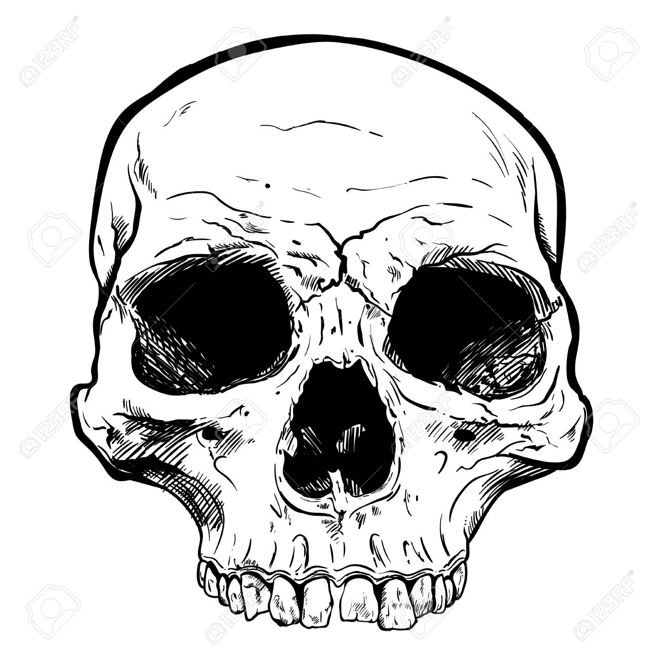 1300x1300 Skull Vector Free Download Clip Art