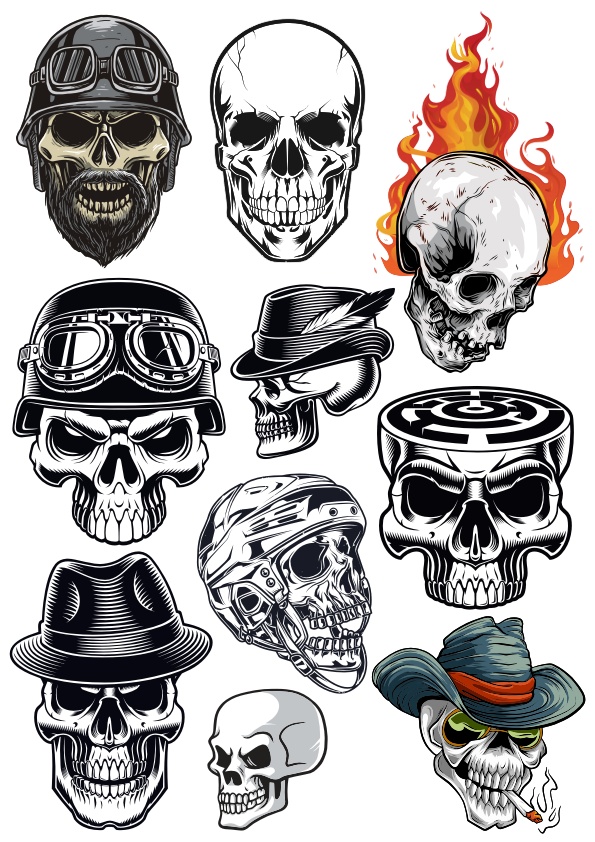 595x842 Skull Vector Set Free Vector Download In Cdr