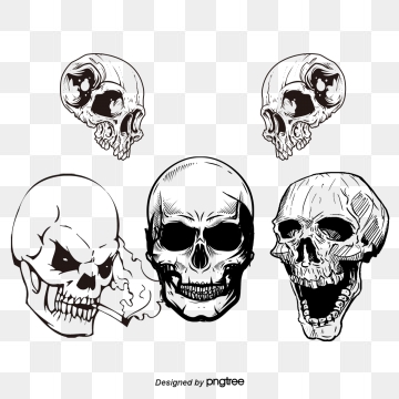 360x360 Skulls Vector Free Png, Vector, And Clipart With Transparent