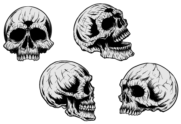 600x410 Vector Clip Art Skulls Download Free Vector Art Free Vectors