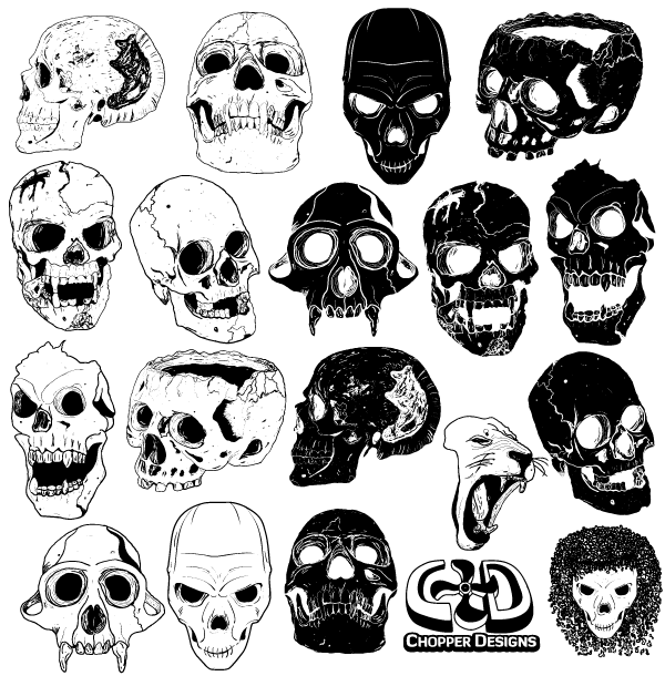 600x610 Free Skull Vector Graphics