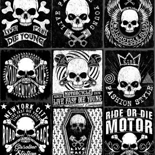 Skull Vector 320x320 Skull Vector