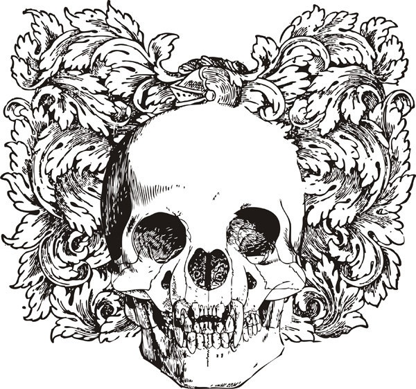 Floral Skull Vector Illustration Free Vector In Encapsulated 600x562 Floral Skull Vector Illustration Free Vector In Encapsulated