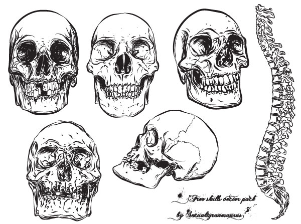Free Skull Vector Pack Download Free Vector Art Free Vectors 600x447 Free Skull Vector Pack Download Free Vector Art Free Vectors