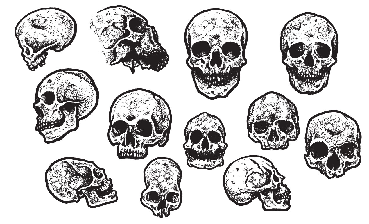 1270x770 Jeff Finley's Skull Vector Pack For Go Media