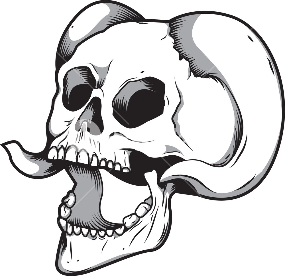 1000x968 Skull Vector Element With Horn Royalty Free Stock Image