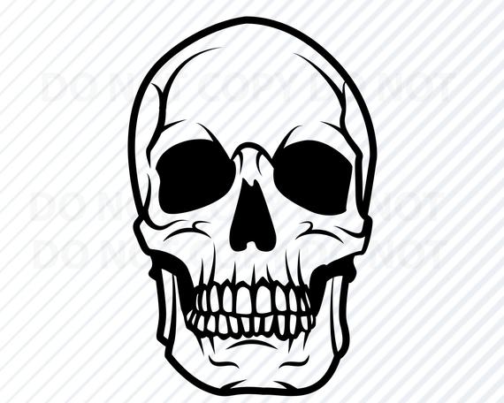 570x456 Skull Human Skull Vector Images Silhouette Clip Art For Etsy