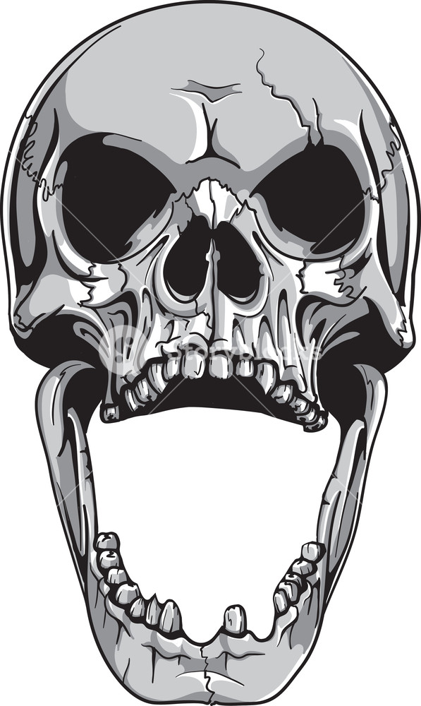 Skull Vector Png at Vectorified.com | Collection of Skull Vector Png