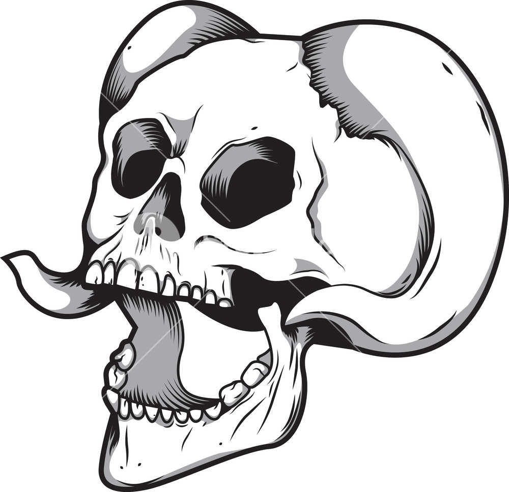 Download Skull Vector Png at Vectorified.com | Collection of Skull ...