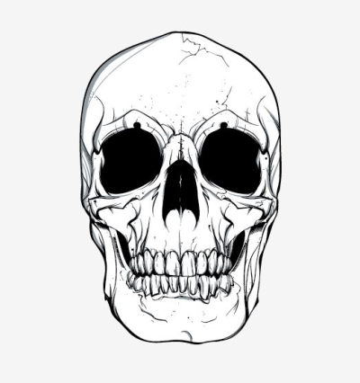 400x426 Skull Vector Free Vector Site Png
