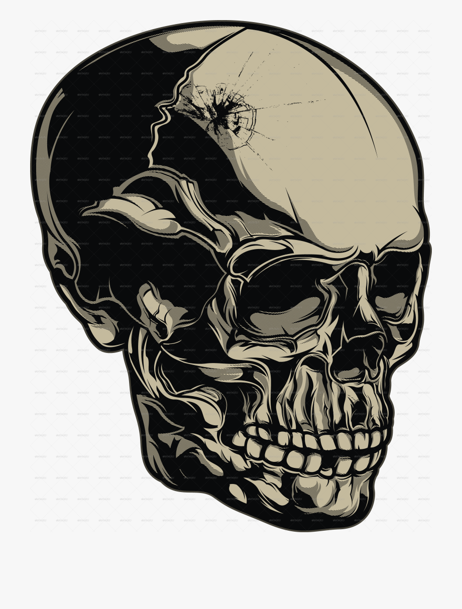 920x1213 Vector Colors Skull