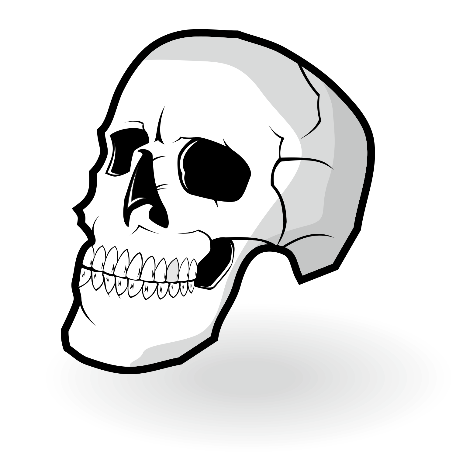 1500x1500 Vector For Free Use Skull Vector