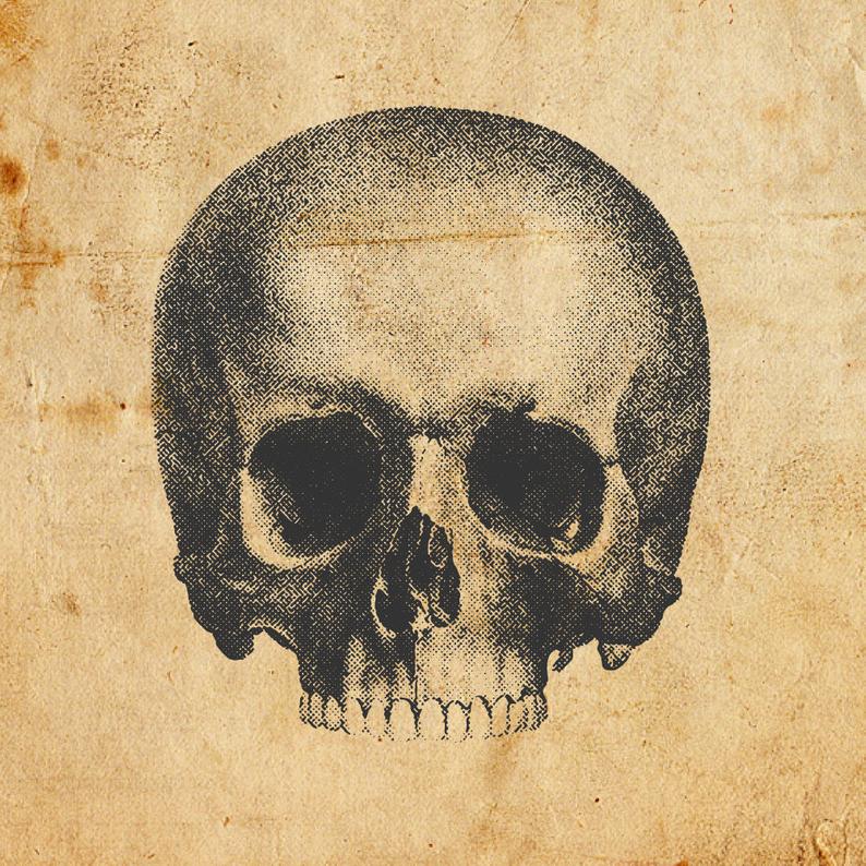 794x794 Vintage Skull Vector Png Digital Download Art Etsy