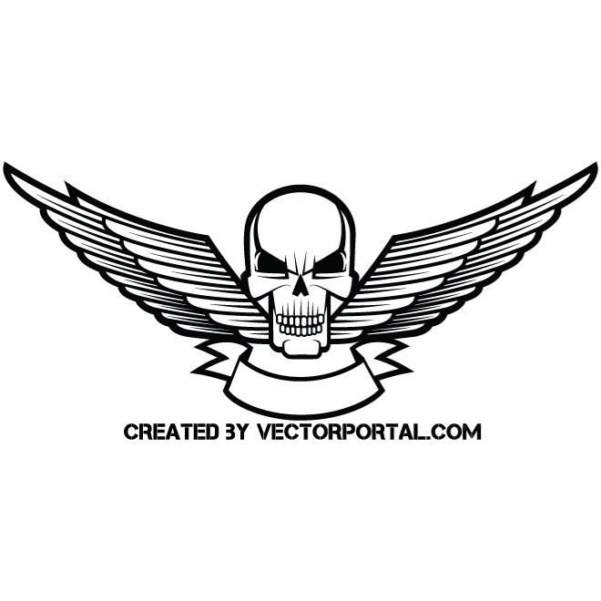 660x660 Skull And Wings Vector Graphics Skull Ideas Skull Illustration