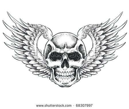 450x380 Skull With Wings Vector Illustration Winged Skulls Skull