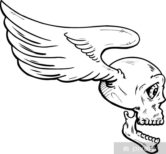 Skull Wings Vector at Vectorified.com | Collection of Skull Wings ...