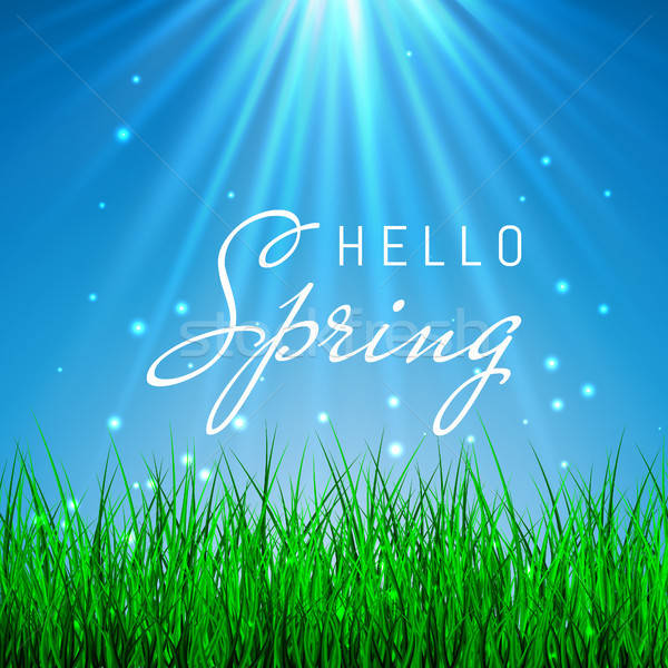 600x600 Hello Spring Poster With Green Grass And Blue Sky, Vector