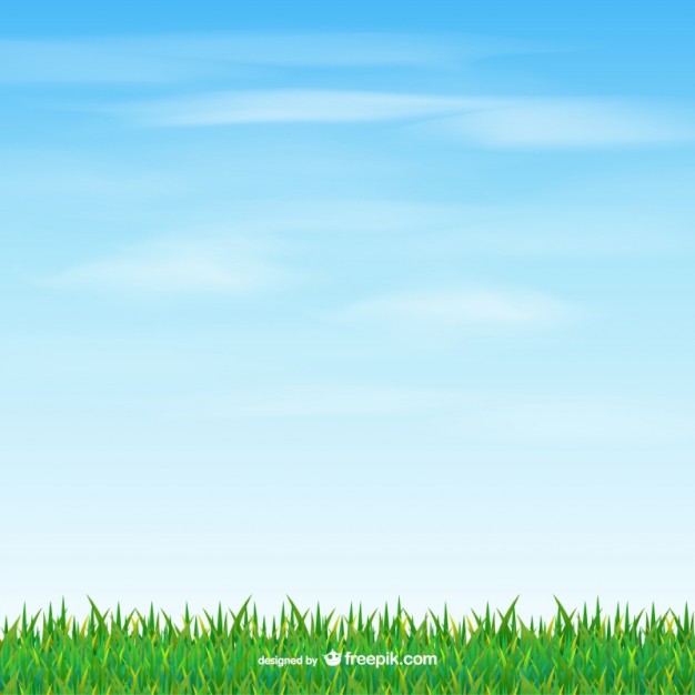 626x626 Grass And Sky Vector Free Download