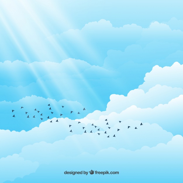 626x626 Birds In The Cloudy Sky Vector Free Download