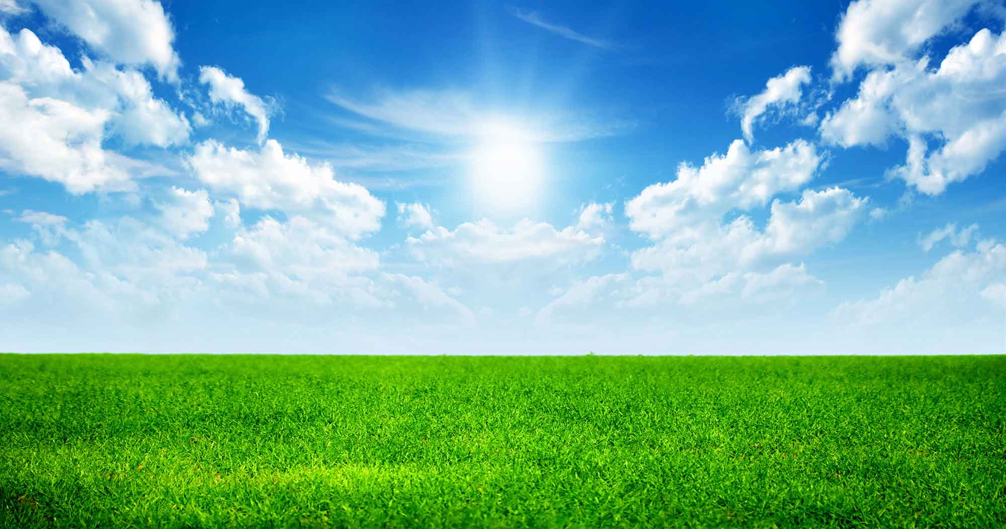 2000x1052 Grass And Sky Vector Wallpapers High Definition On Wallpaper Hd