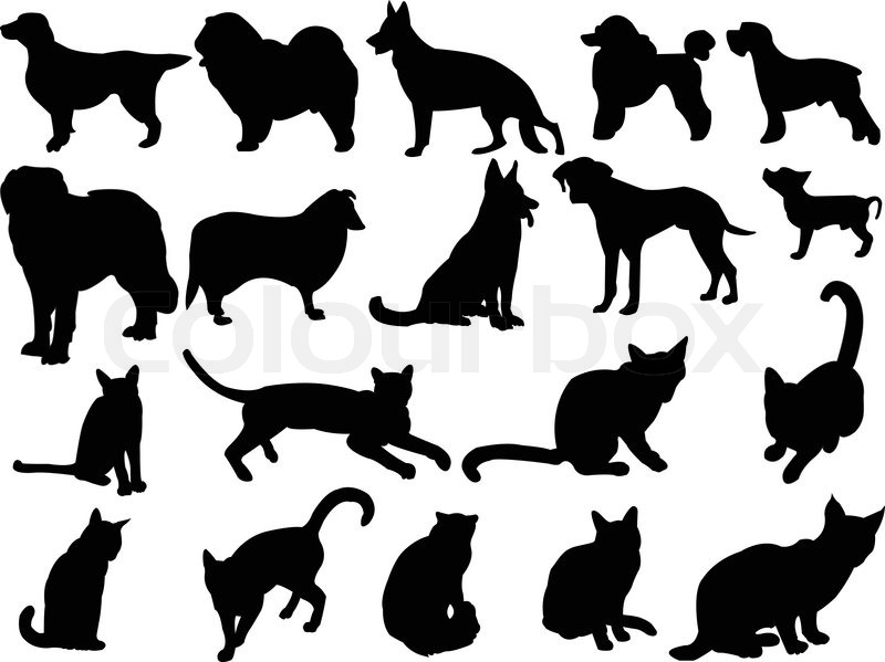 800x599 Excellent Idea Sleeping Dog Silhouette Cat And Dogeps Stock Vector
