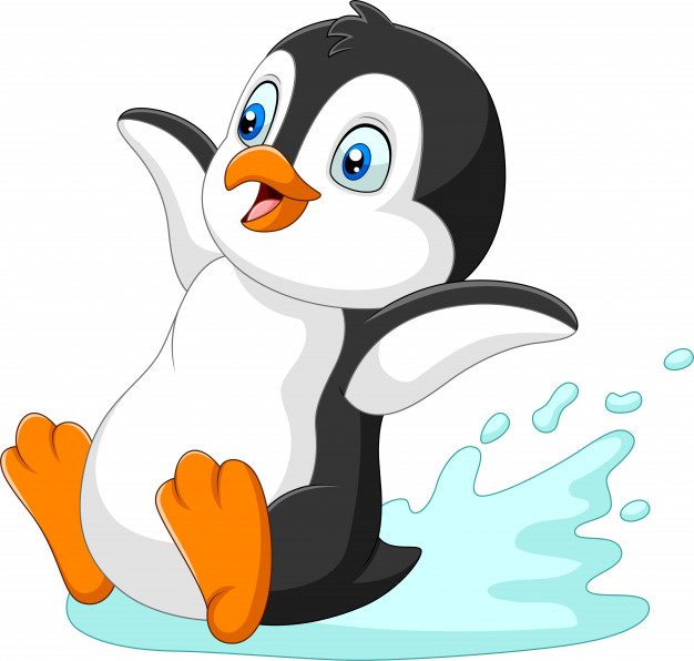 Cartoon Penguin Sliding On Water Vector Premium Download 626x596 Cartoon Penguin Sliding On Water Vector Premium Download