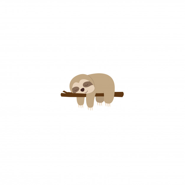 626x626 Lazy Sloth Sleeping On A Branch Flat Design Vector Premium Download