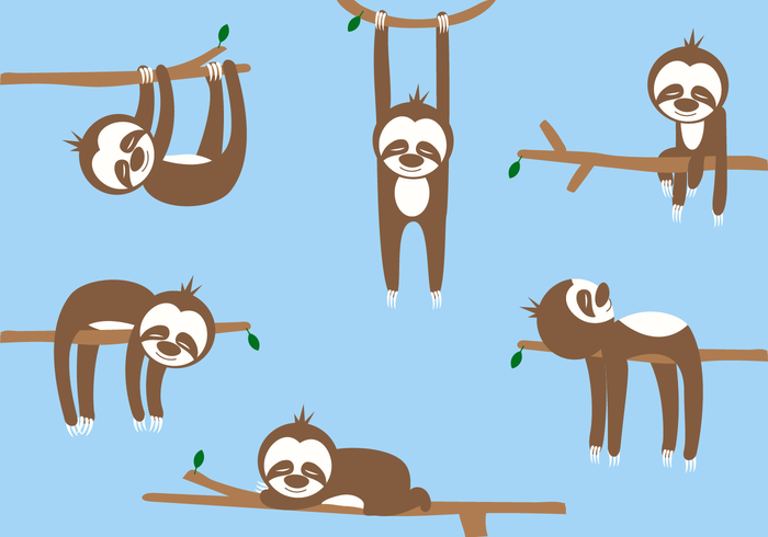 700x490 Sloth Free Vector Art