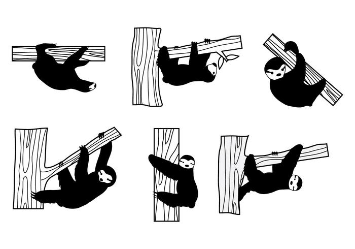 700x490 Sloth Vector