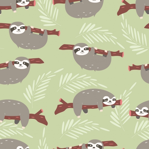 626x626 Sloth Vectors, Photos And Free Download