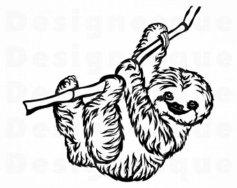Download Sloth Silhouette Vector at Vectorified.com | Collection of ...