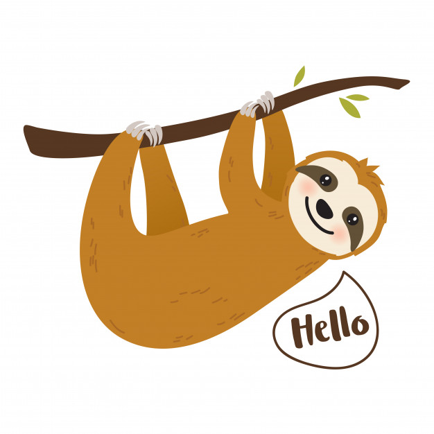 626x626 Cute Cartoon Sloth Graphic Vector Premium Download