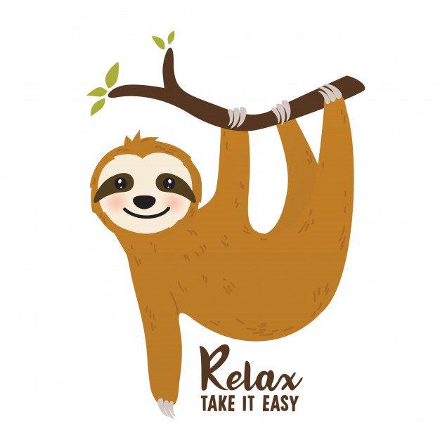626x626 Cute Sloth Cartoon Vector Premium Download