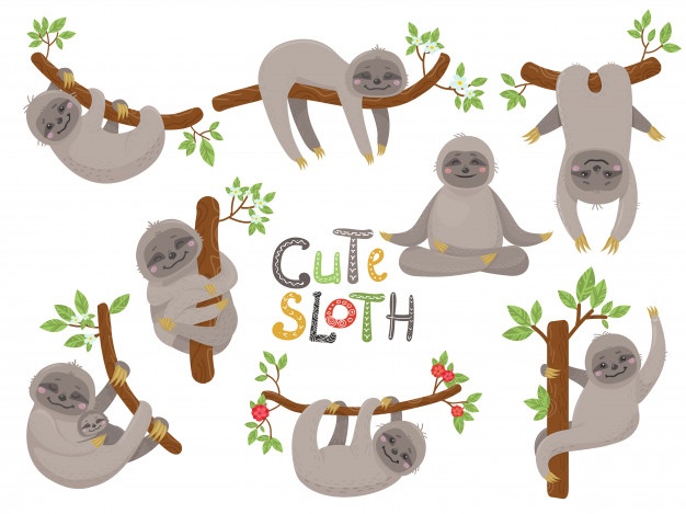 626x469 Big Set Of Cute Sloths Character In Various Positions Vector