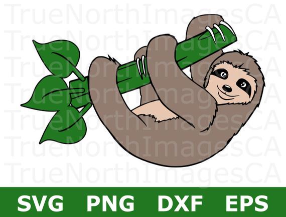 570x434 Sloth Sloth Clipart Sloth Clip Art Sloth Vector Etsy