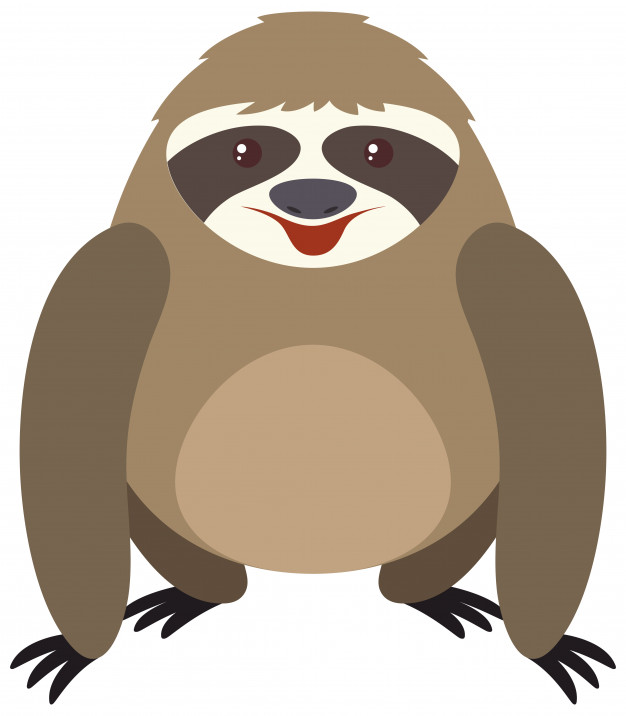 626x716 Sloth Vectors, Photos And Free Download