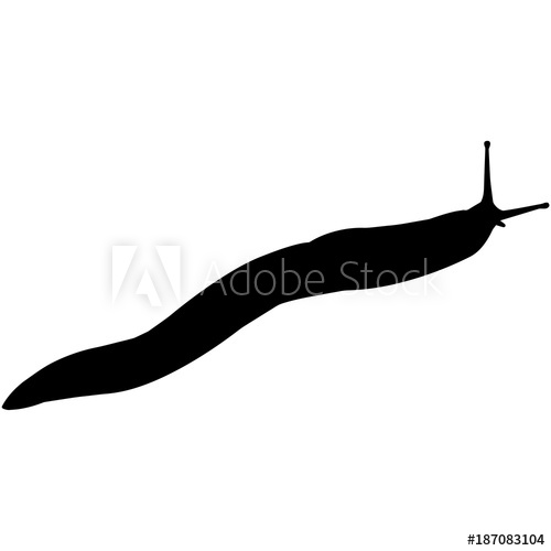 Sea Slug Silhouette Vector Graphics 500x500 Sea Slug Silhouette Vector Graphics
