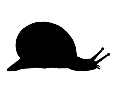Slug Royalty Free Vector Graphics 450x360 Slug Royalty Free Vector Graphics