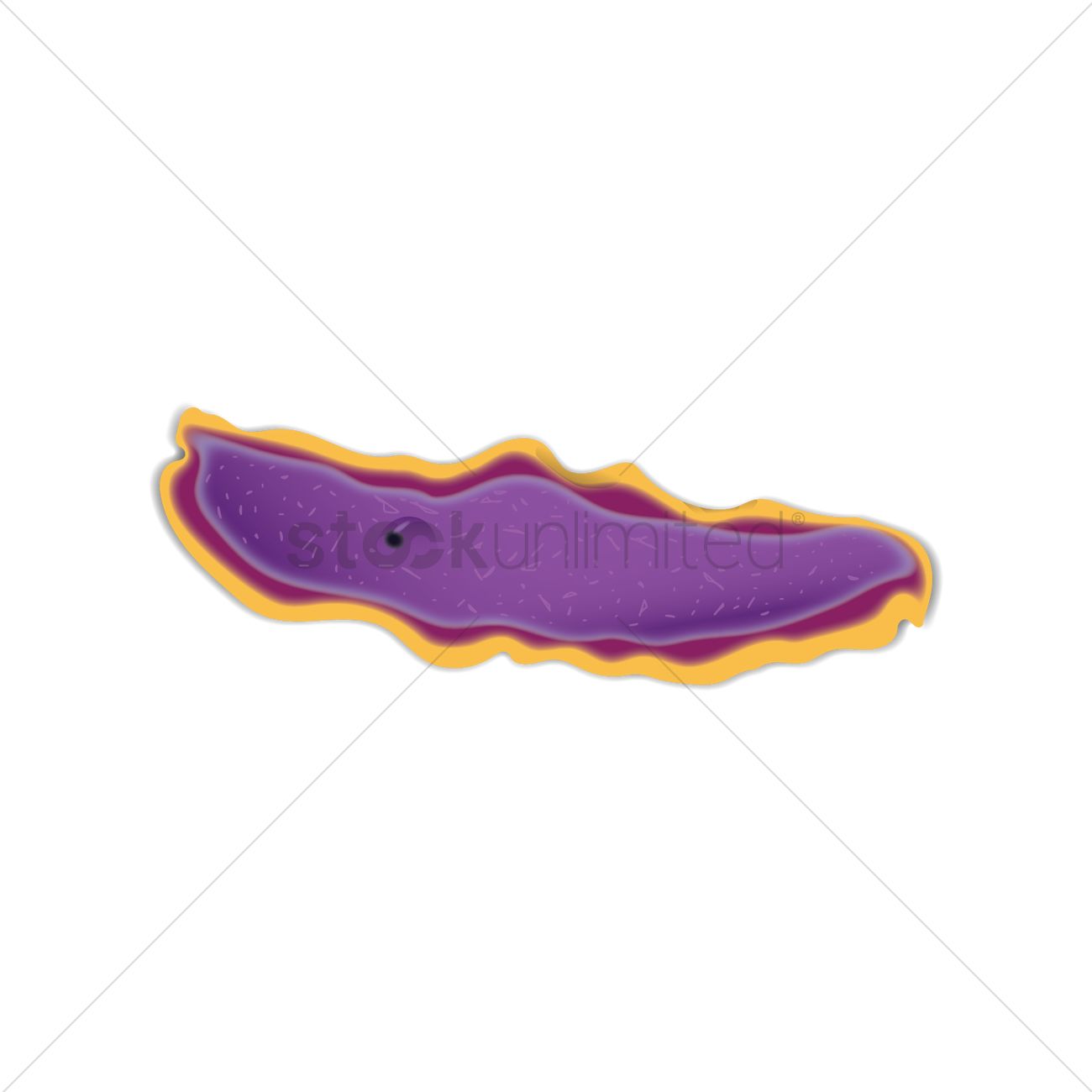 Slug Vector Image 1300x1300 Slug Vector Image