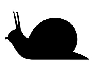 Slug Vector Photos, Royalty Free Images, Graphics, Vectors 320x240 Slug Vector Photos, Royalty Free Images, Graphics, Vectors