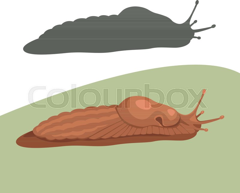 Slug Snail Cartoon Vector Stock Vector Colourbox 800x645 Slug Snail Cartoon Vector Stock Vector Colourbox