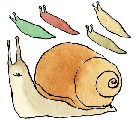 Cartoon Snail And Slug 450x414 Cartoon Snail And Slug